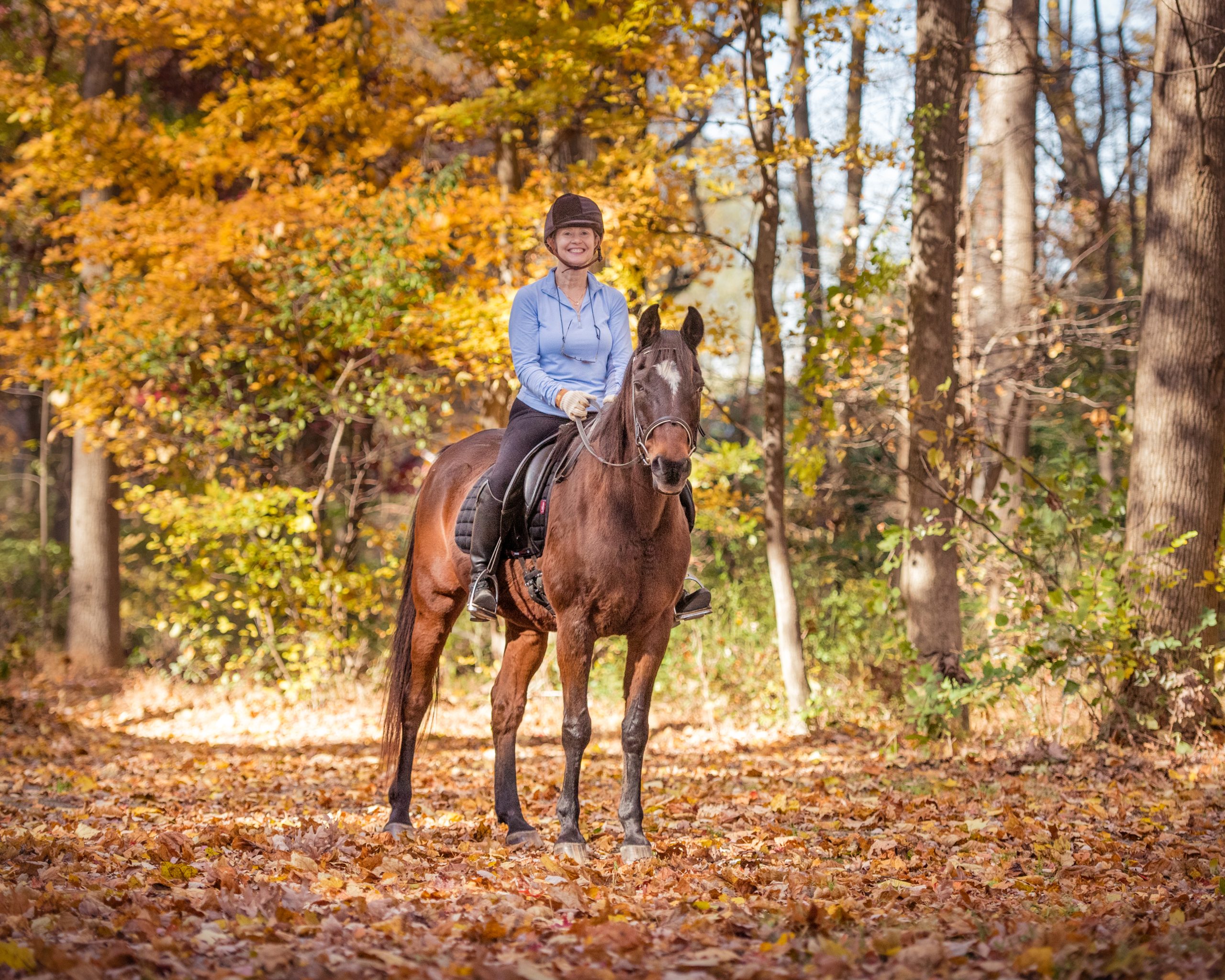 A Girl Riding a Horse